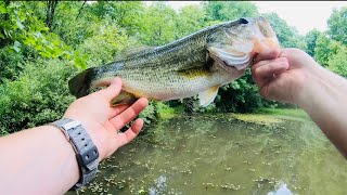 Fishing Hidden Ponds in the Woods.