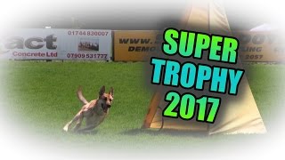 BAGSD Schutzhund Super Trophy 2017 FCI WM IPO Qualifiers Protection Rounds  Mali, GSD, Rottie