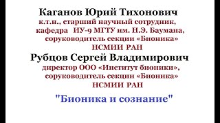 доклад Каганов Ю.Т., Рубцов С.В. БИОНИКА И СОЗНАНИЕ