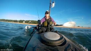 Kayaking at smithtown short beach