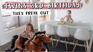 TWINS FREAK OUT OVER HORSE THEMED BIRTHDAY