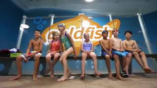 Goldfish Swim School - Swim Force