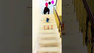 Baby Truck Falling💥🚚Balls⚽️💥😋💥😍  #viral #trending #babyshorts #trendingshorts #ytshorts #funny #baby