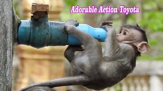 Adorable baby Thirsty, Toyota Still want to drink even if no water | Action of Baby look attractive