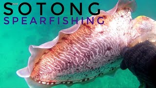 SPEARFISHING SOTONG & KERAPU MACAN