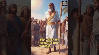 Top 5 Wisest Figures in the Bible – Wisdom Beyond Measure! #shorts