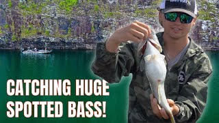 Livescoping BIG Spotted Bass on Lake Jocassee!