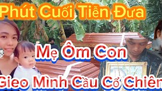 Xong Một Kiếp Người Yên Nghỉ Nhé Cô Gái Nhỏ Và Một Thiên Thần