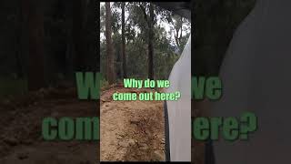 Why do we love Toolangi?