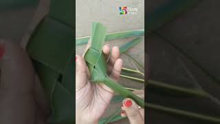 Coconut Diy Parrot | how to make bird with coconut leaf #DIY #5minutecraft