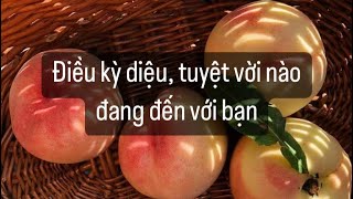 Điều kỳ diệu, tuyệt vời nào đang đến với bạn ?