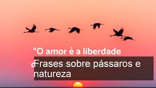 Descubra Frases Inspiradoras sobre Pássaros e a Beleza da Natureza