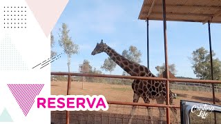 VAMOS A UNA RESERVA · ES DESESPERANTE · SOLAZO · VLOG 541