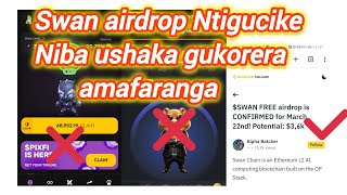 Swan Airdrop, Irenze Pixel Na Hamster, Ngwino Dukorere Amafaranga Meza Ureke Ibisambo