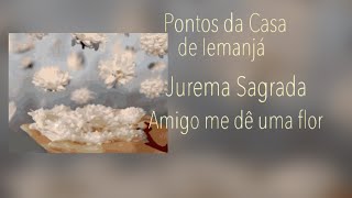 Jurema Sagrada - Amigo me dê uma flor