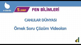 5. Sınıf Fen Bilimleri 2. Ünite - Canlılar Dünyası Örnek Soru Çözümleri