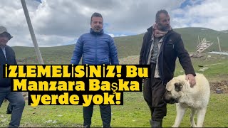 ERZURUM! İZLEMELİSİNİZ!