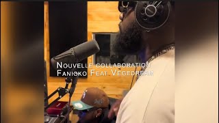 Nouvelle collaboration de Fanicko Feat Vegedream pour bientôt !