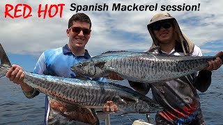 RED HOT Spanish Mackerel session - from 0 to 100!! (Lures & Bait)