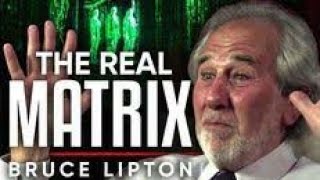 Dr Bruce Lipton - La biologie de la croyance et la matrice