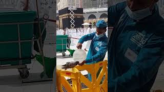 Subhanallah MashaAllah ❤️🕋 | Makkah sharif live #shorts #youtubeshorts #viral #makkah #pegion