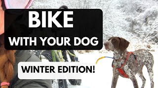 Winter Biking With Your Dog