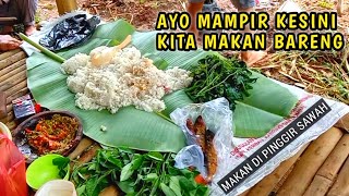 Mantap!! Acara Makan Nasi Liwet di Pinggiran Sawah