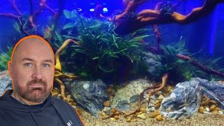 AQUASCAPING Workshop at Radical Aquatics, Leeds UK | Highlights