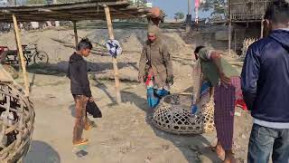 Pigeon Market | Pigeon Releasing | Pigeon Mania | Bd Pigeon Lover | Shanto Islam