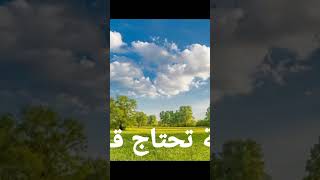 كلمات في القمة 22