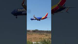 Southwest Airlines 737 landing at SeaTac #southwestairlines #boeing #737 #landing #planespotting