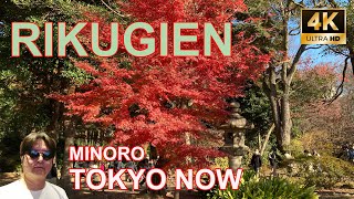 [4K] Rikugien, Autumnleaves 12/05/2021 | 六義園 紅葉 TOKYO NOW