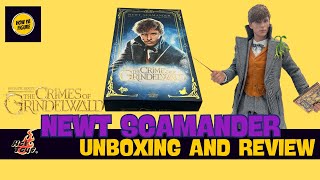 Hot Toys Newt Scamander Fantastic Beasts: The Crimes of Grindelwald Unboxing and Review