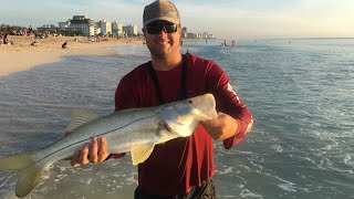 South Beach Fishing: Snook and Mangrove Snapper on Miami Beach, Florida