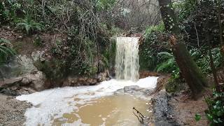 Torrent de la Pallota ☆ Òrrius ☆ Maresme