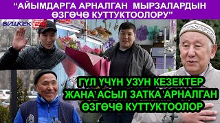 ГҮЛ ҮЧҮН УЗУН КЕЗЕКТЕР ЖАНА АСЫЛ ЗАТКА АРНАЛГАН ӨЗГӨЧӨ КУТТУКТООЛОР