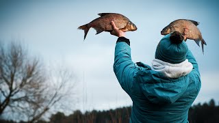 ФИДЕР В ДЕКАБРЕ ! Проверка старых уловистых мест. ЛЕЩ есть и зимой.