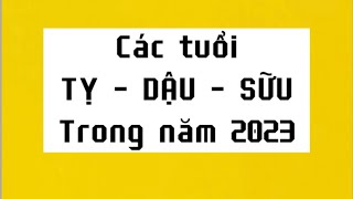 Chi tiết và tổng quan các tuổi "Tỵ Dậu Sữu" trong năm 2023