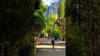 Yosemite National Park In California, USA