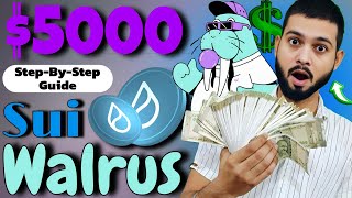 Walrus Testnet #Sui Airdrop Full Detailed Step-by-Step Guide