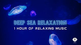 Underwater Serenity: Deep Sea Relaxation | 1 Hour of Calming Music for Sleep, Study & Relaxation