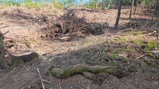 LostPlace Bergwerk mit Stollen ⚒️ | Grube verlassene Orte |   Spiele und natur Exploration 2021