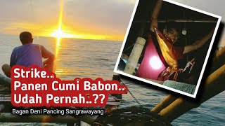 Panen Cumi Babon | Strike gak berhenti | Bagan Deni Fishing Sangrawayang @tonkmancing4864