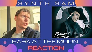 Synth Sam REACTS : Aesthetic Perfection - Bark at the Moon