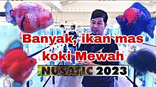 Ratusan ikan mas koki mewah, Turut Di Nusatic 2023. #goldfish #ikanmaskoki #nusatic2023