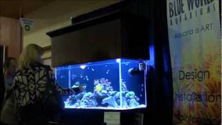 90 Gallon Reef Aquarium at CHBA Home Show 2011