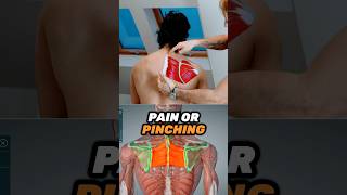 Pain or pinching between the shoulder blades