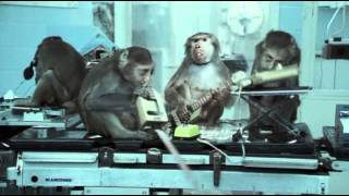 Basement Jaxx - Where'S Your Head At