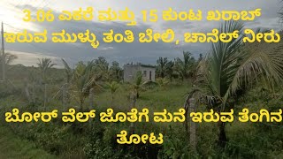 Coconut farm land for sale at Maddur, 75 Km from Kengeri