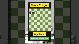 Telegram: Albinachess #chess #шахматы #chorts